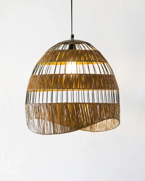 Parabola Pendant Light